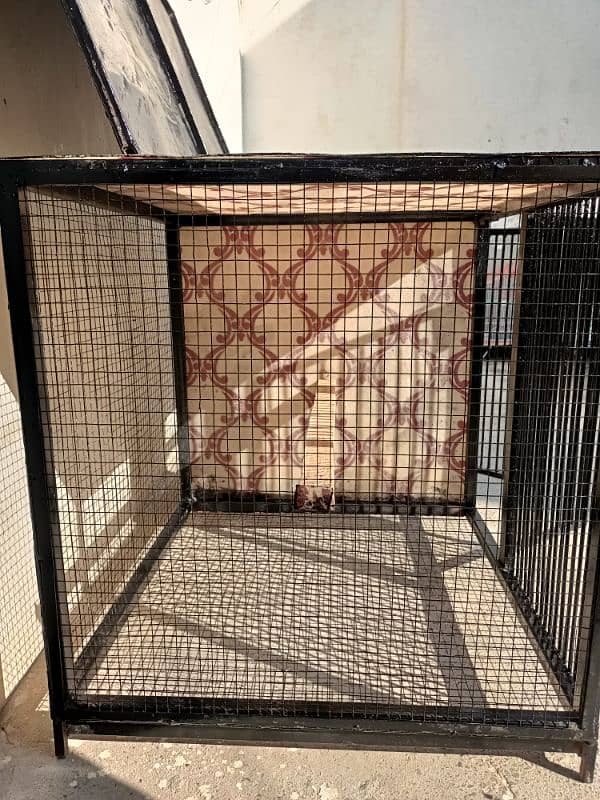 heavy metal birds cage with fiber sheet whatsapp only 3