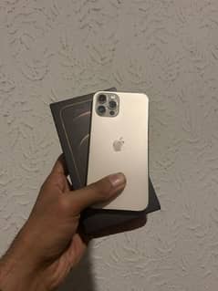 iphone 12 pro dual pta