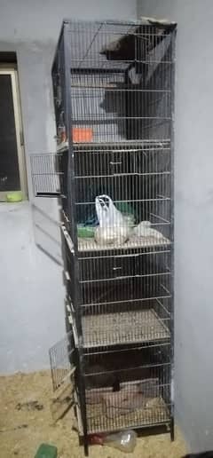 love bird cage for sale