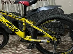 Cycle for sale