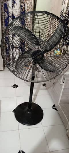 wahid pedestal fan