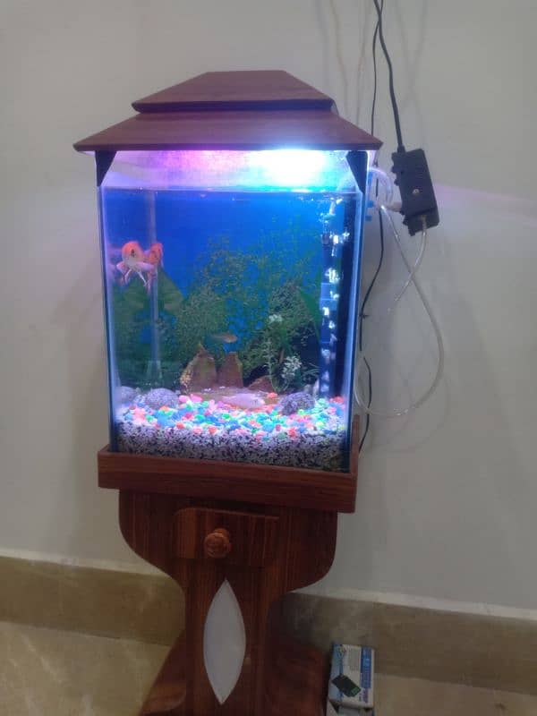 Aquarium Fish set up 7