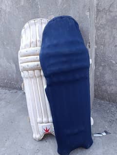 Cricket Pads With Blue Cover.