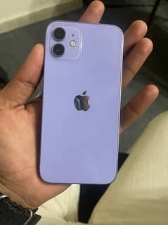 iphone 12 pta approved