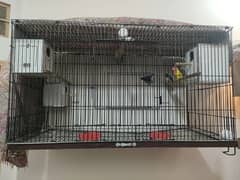 Cage for big birds ringneck raw love birds