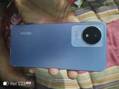 vivo