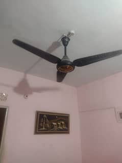 AC DC Fan Available For Sale