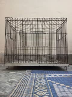 Birds cage