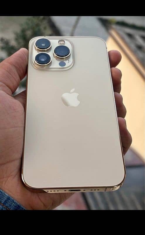 iphone 13 pro 1