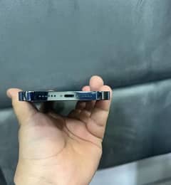 Apple iPhone 13 Pro Max pta approve