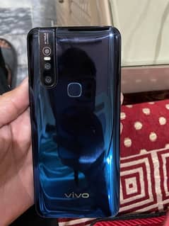 vivo