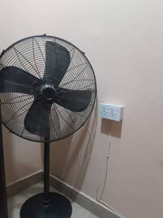 pedestal fan