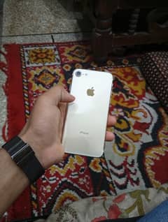 iphone 7 PTA APPROVED (128)