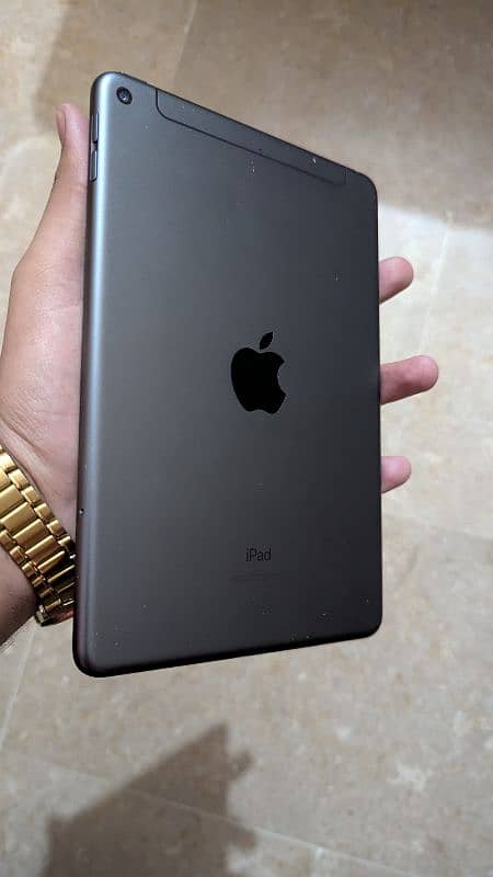 Apple Ipad Mini 5 0