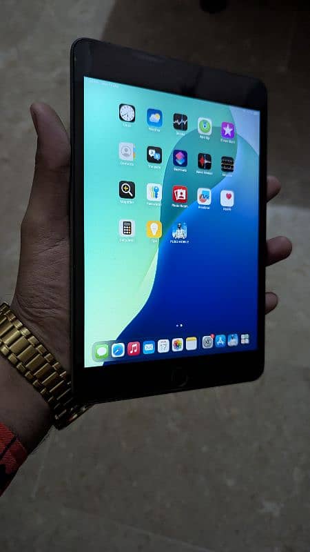 Apple Ipad Mini 5 1