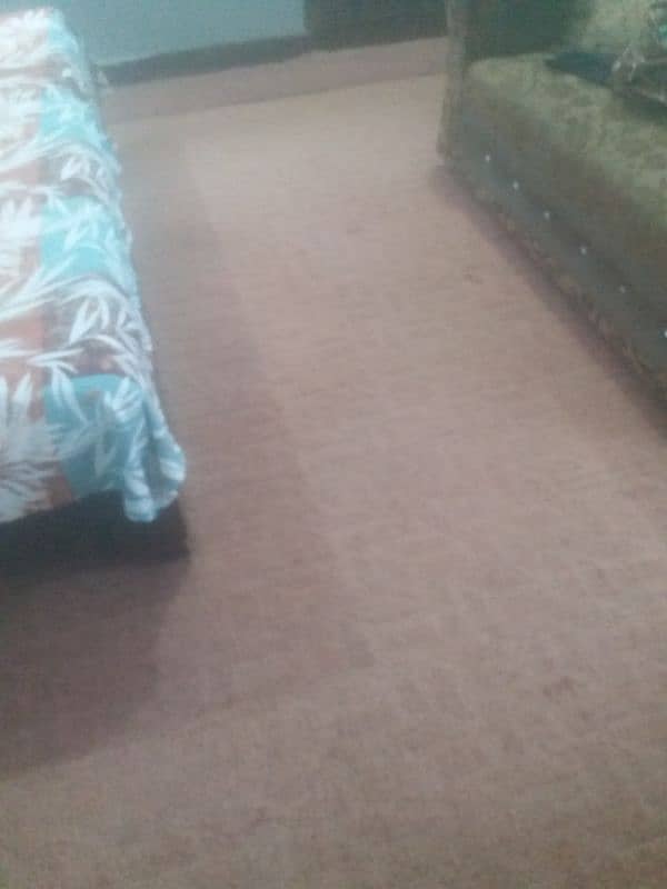 Carpet 1