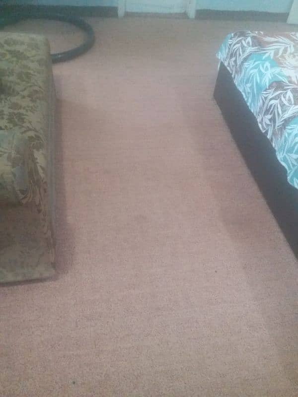 Carpet 2