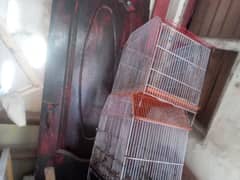 birds cage for sale urgent