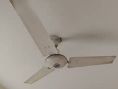 ceiling fan