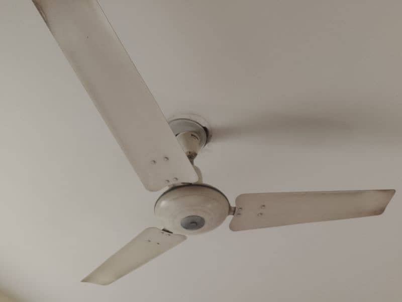 ceiling fan 0