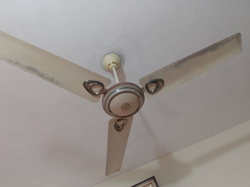 ceiling fan 2