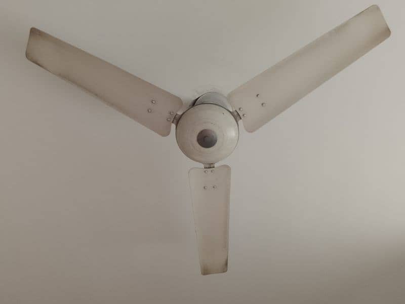 ceiling fan 4