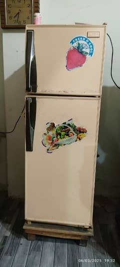 fridge