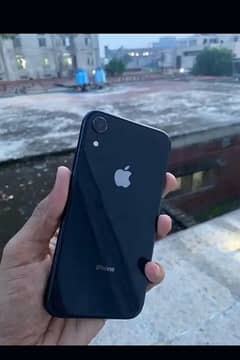 iPhone XR ha non pta ha