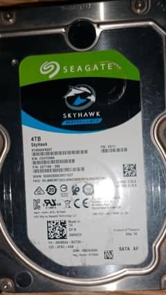 Hard Disk 4 TB Surveillance Seagate