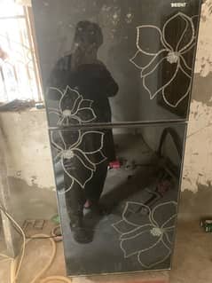 Orient Glass Door Fridge