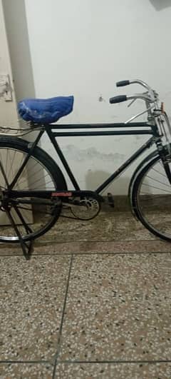 cycle for sale