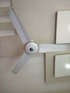 Ceiling Fan for sale