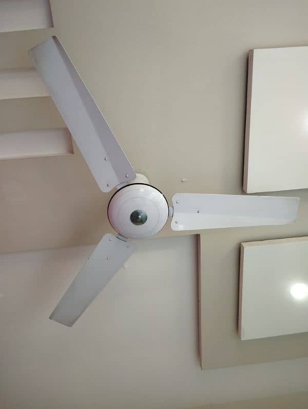 Ceiling Fan for sale 0