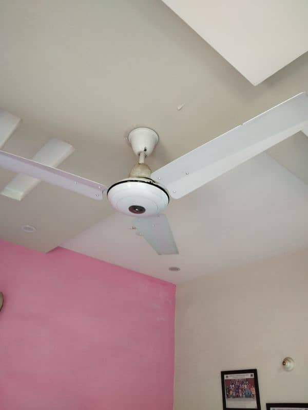 Ceiling Fan for sale 1