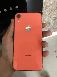 Iphone Xr 10/10 jv ( 64 gb )