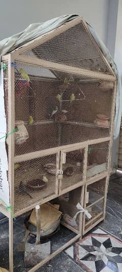 Big size parrot cage and 11 pair with baby and eggs