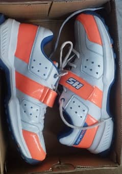 Cricket Shoes original HS-41PRO