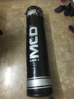 Boxing/Punching bag