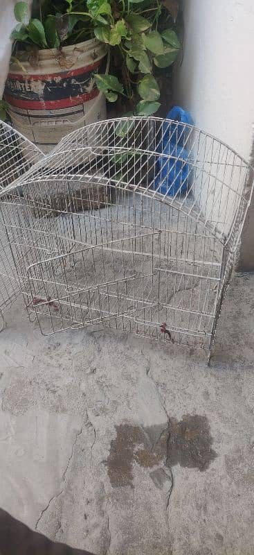 2 Small cages 2