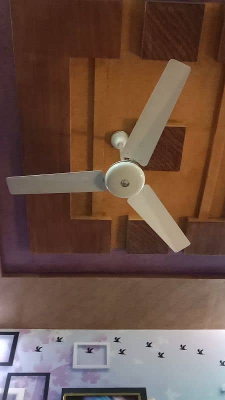 Indus Sealing Fan 2 0