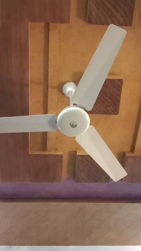 Indus Sealing Fan 2 1