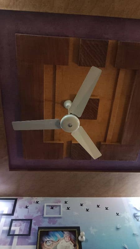 Indus Sealing Fan 2 2