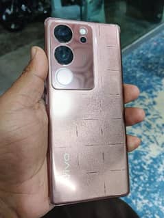 vivo v29 Non pta