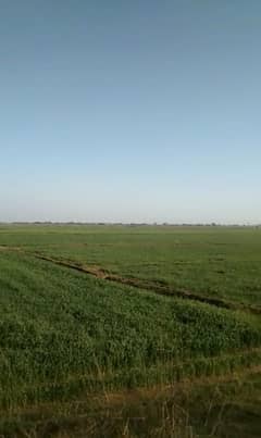 ( 90 ACRES ) Zaraee Land For Sale In (RASOOL NAGER)