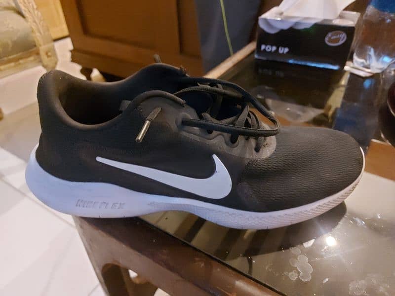 Nike Flex Shoes 1