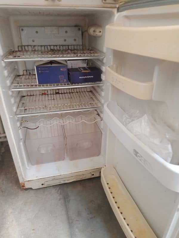 pel fridge 2