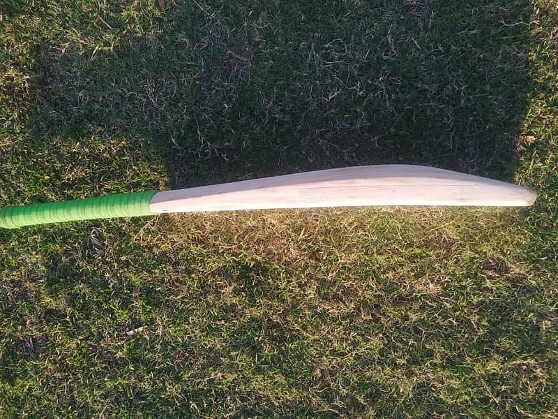 Mb Cricket bat 1