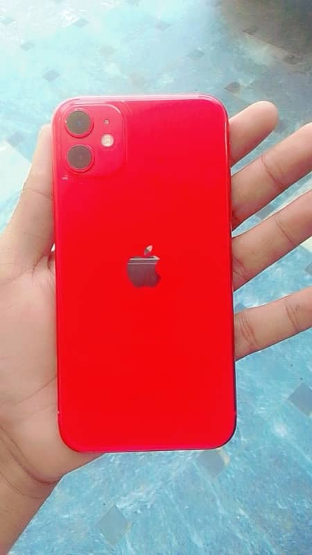 Iphone11 non pta 1