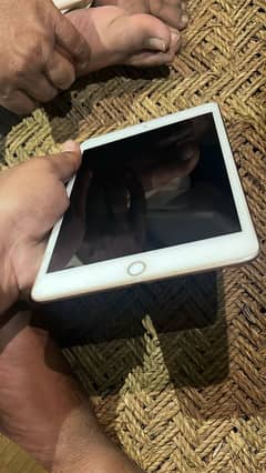 I pad mini 5