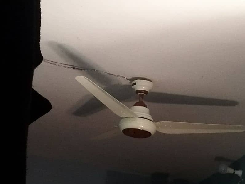 3 fans available 0